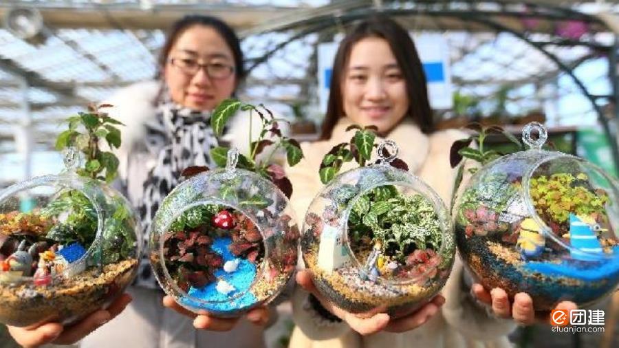 手作团建|大自然微景观制作活动