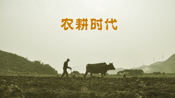 主题团建|农耕时代团建一天一晚版