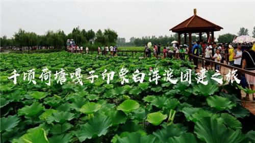 旅行团建|十里荷塘嘎子故乡白洋淀三日团建