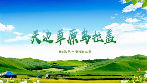 老外带你去团建-天边草原乌拉盖