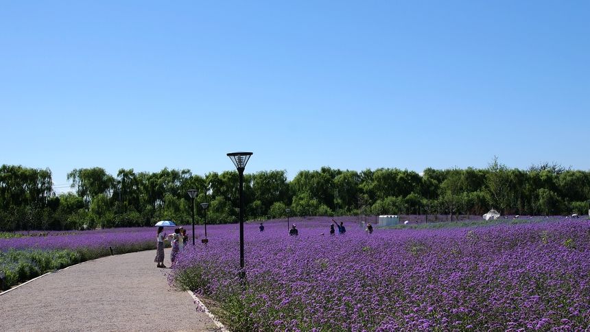 北京朝陽藍調莊園